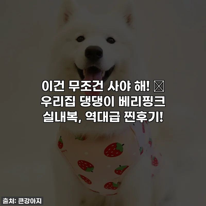 이건 무조건 사야 해! 🐾 우리집 댕댕이 베리핑크 실내복, 역대급 찐후기!