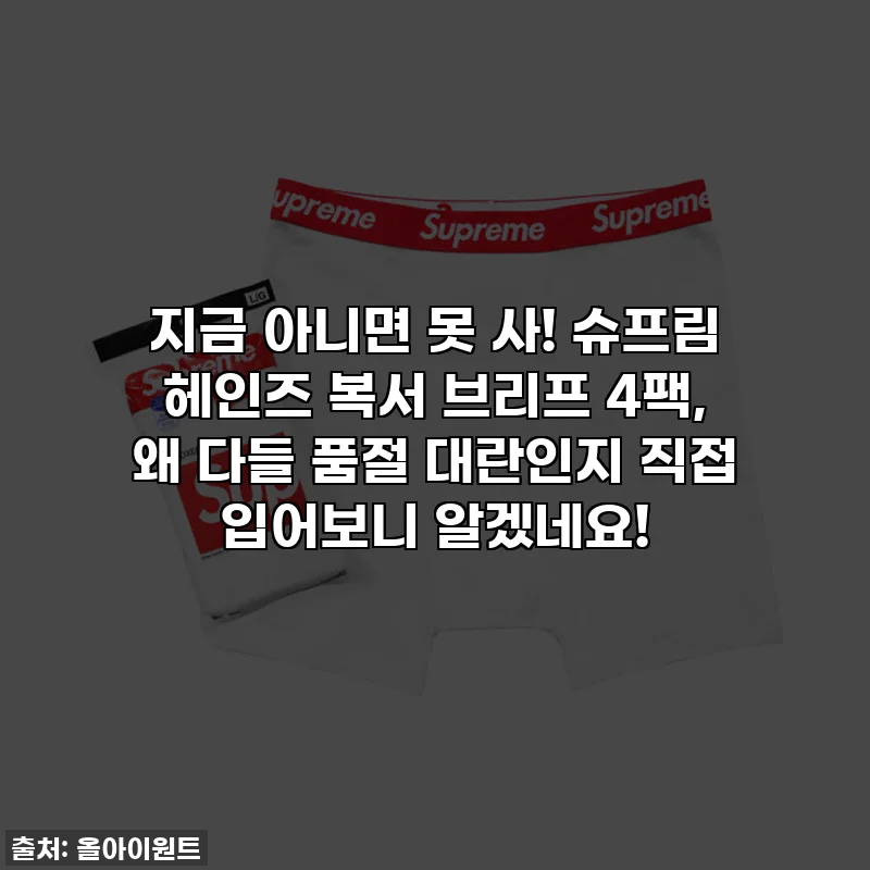 지금 아니면 못 사! 슈프림 헤인즈 복서 브리프 4팩, 왜 다들 품절 대란인지 직접 입어보니 알겠네요!