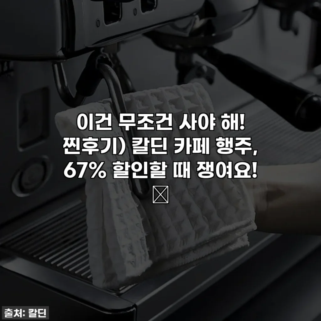 이건 무조건 사야 해! 찐후기) 칼딘 카페 행주, 67% 할인할 때 쟁여요! ✨