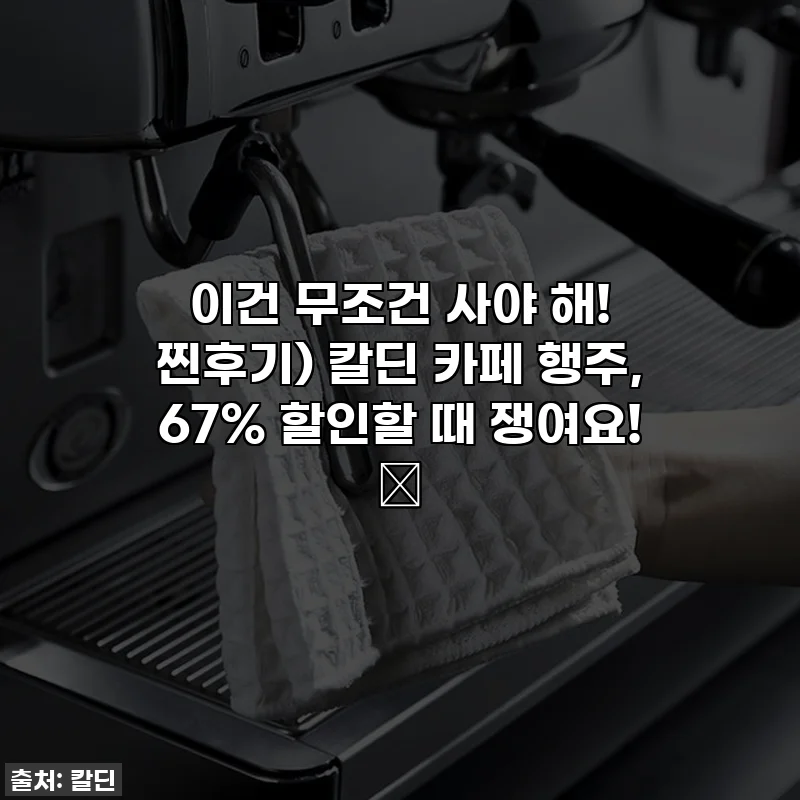 이건 무조건 사야 해! 찐후기) 칼딘 카페 행주, 67% 할인할 때 쟁여요! ✨