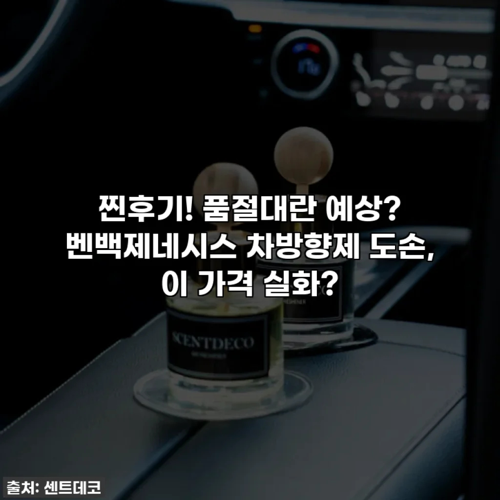 찐후기! 품절대란 예상? 벤백제네시스 차방향제 도손, 이 가격 실화?