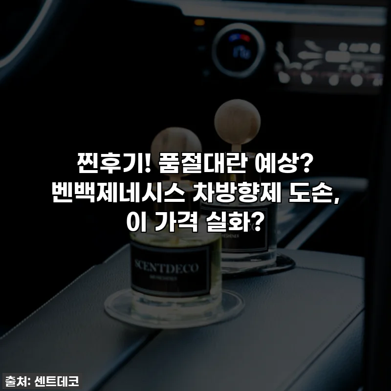 찐후기! 품절대란 예상? 벤백제네시스 차방향제 도손, 이 가격 실화?