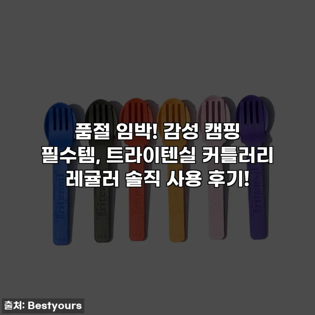 품절 임박! 감성 캠핑 필수템, 트라이텐실 커틀러리 레귤러 솔직 사용 후기!