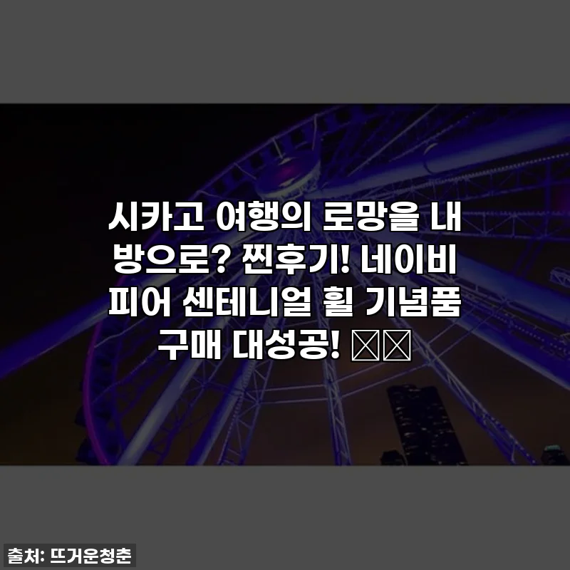 시카고 여행의 로망을 내 방으로? 찐후기! 네이비 피어 센테니얼 휠 기념품 구매 대성공! 🎡✨
