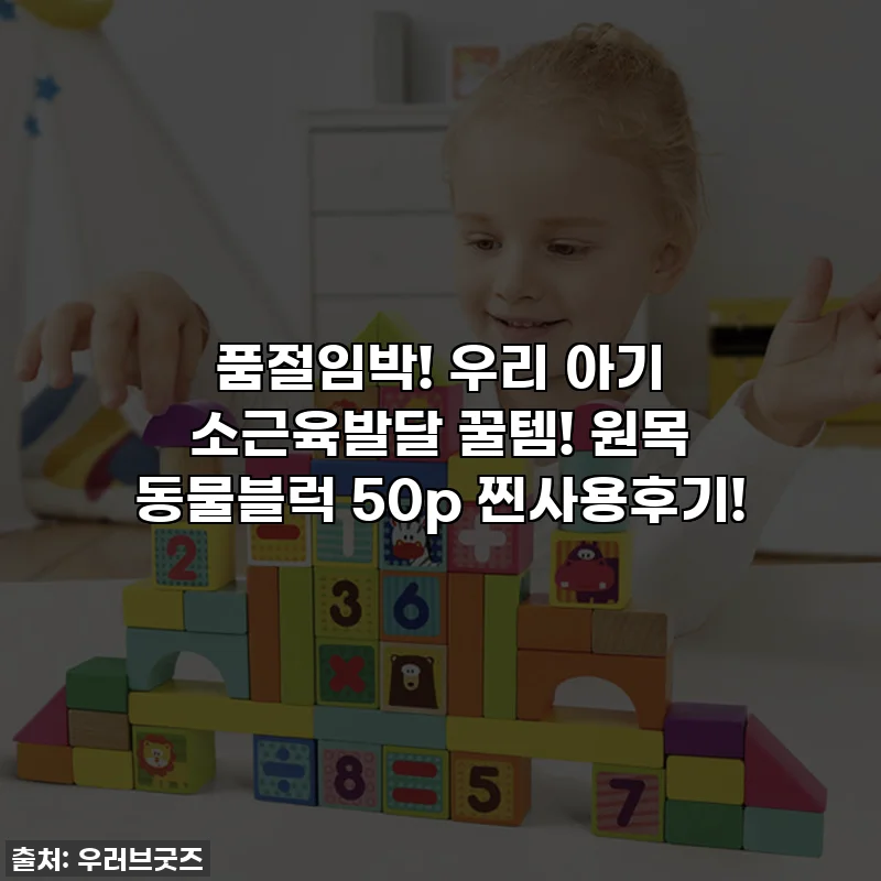 품절임박! 우리 아기 소근육발달 꿀템! 원목 동물블럭 50p 찐사용후기!