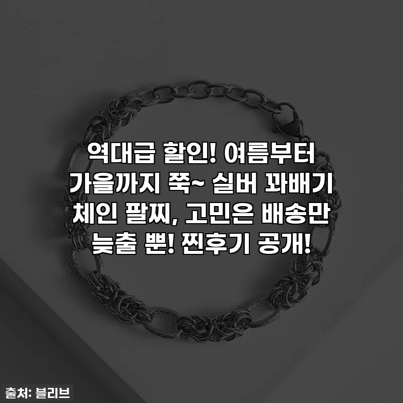 역대급 할인! 여름부터 가을까지 쭉~ 실버 꽈배기 체인 팔찌, 고민은 배송만 늦출 뿐! 찐후기 공개!
