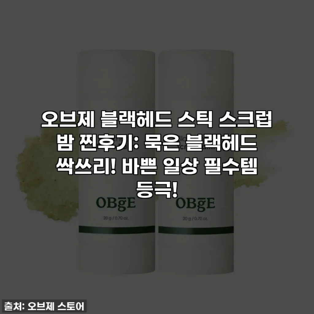 오브제 블랙헤드 스틱 스크럽 밤 찐후기: 묵은 블랙헤드 싹쓰리! 바쁜 일상 필수템 등극!
