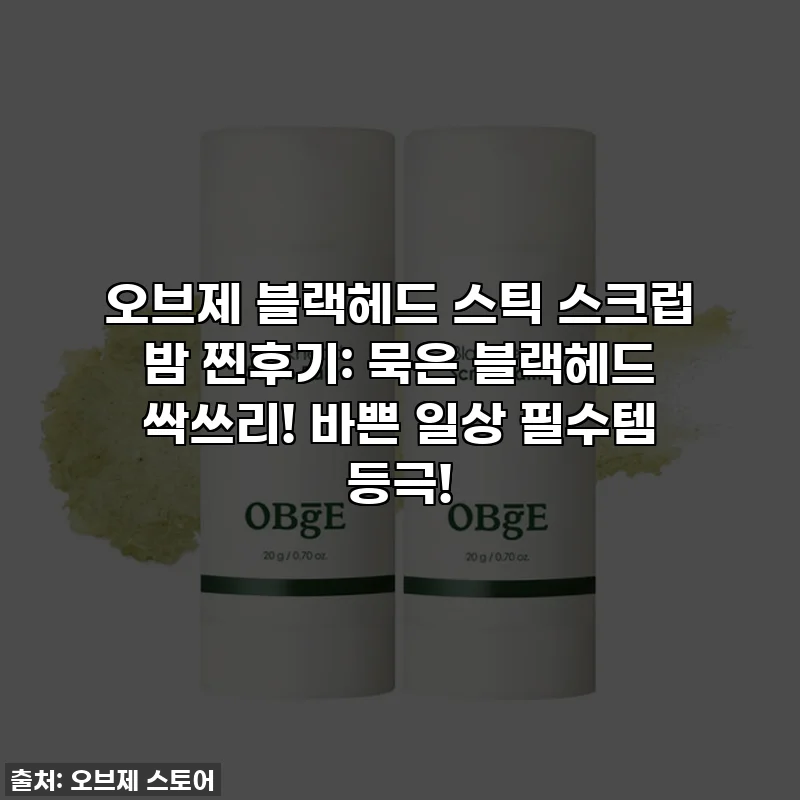 오브제 블랙헤드 스틱 스크럽 밤 찐후기: 묵은 블랙헤드 싹쓰리! 바쁜 일상 필수템 등극!