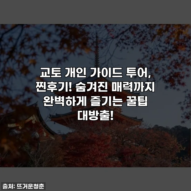 교토 개인 가이드 투어, 찐후기! 숨겨진 매력까지 완벽하게 즐기는 꿀팁 대방출!