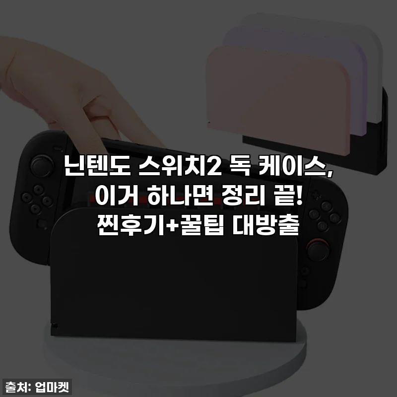 닌텐도 스위치2 독 케이스, 이거 하나면 정리 끝! 찐후기+꿀팁 대방출