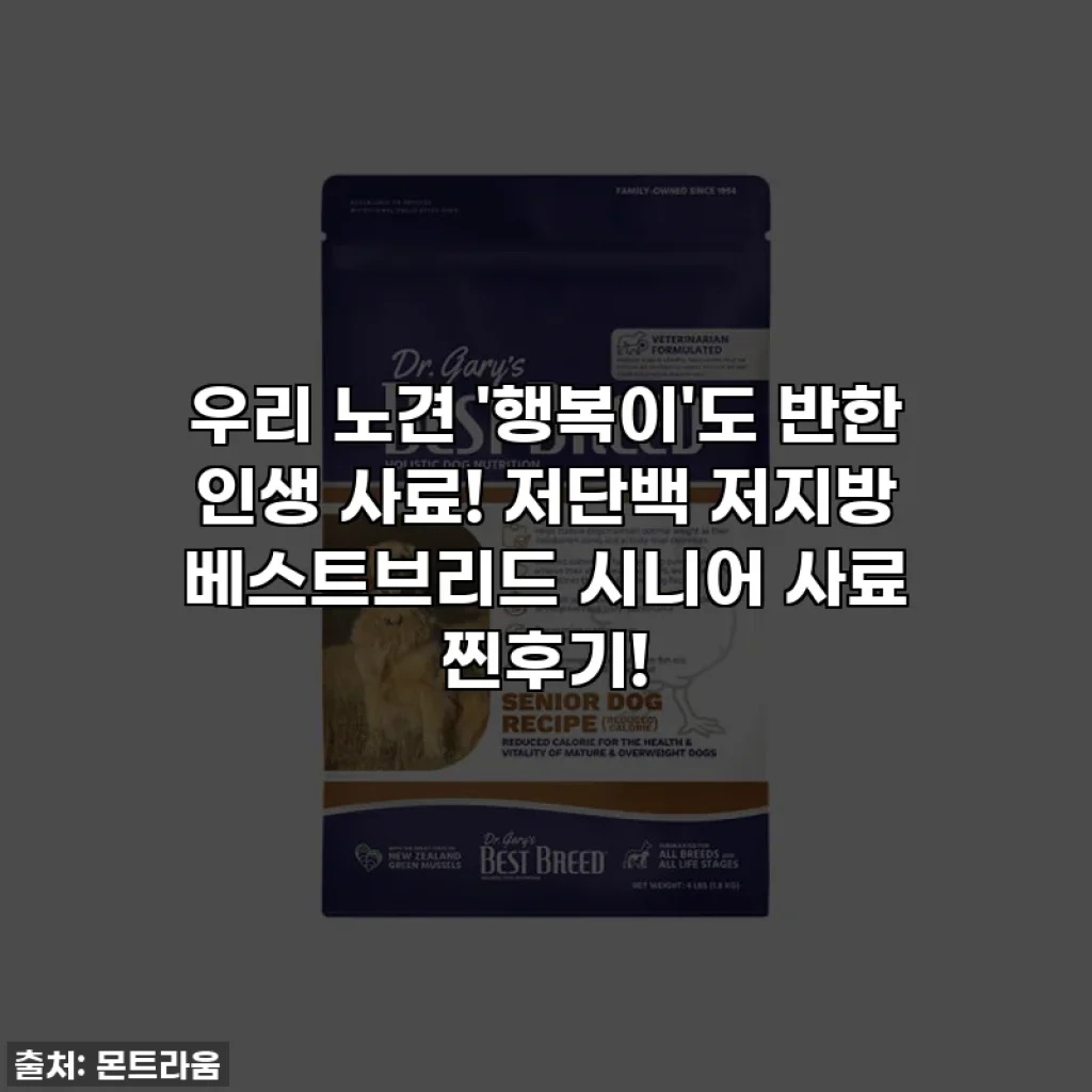 우리 노견 '행복이'도 반한 인생 사료! 저단백 저지방 베스트브리드 시니어 사료 찐후기!