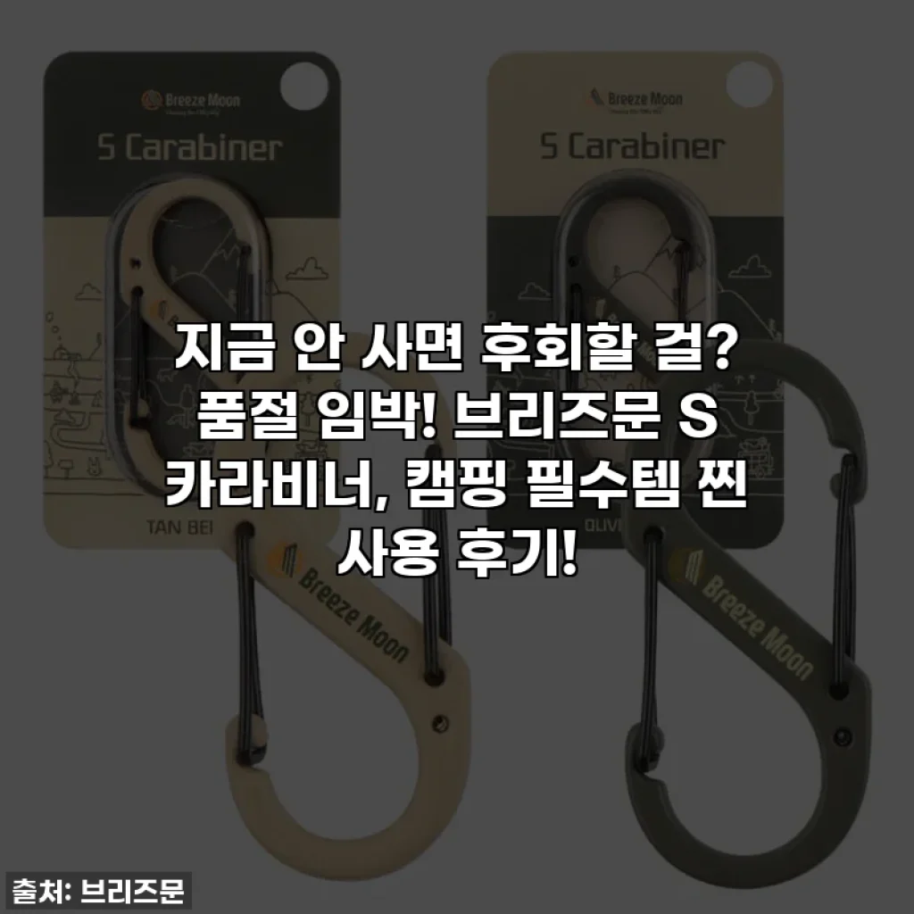 지금 안 사면 후회할 걸? 품절 임박! 브리즈문 S 카라비너, 캠핑 필수템 찐 사용 후기!