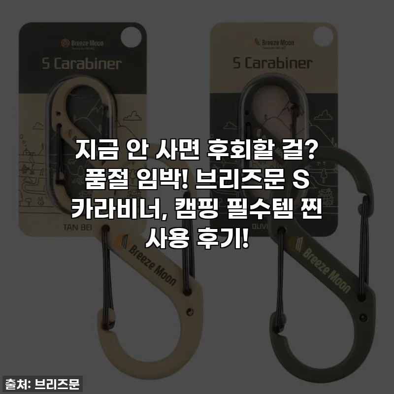 지금 안 사면 후회할 걸? 품절 임박! 브리즈문 S 카라비너, 캠핑 필수템 찐 사용 후기!