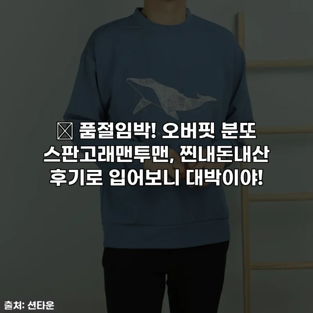 🔥 품절임박! 오버핏 분또 스판고래맨투맨, 찐내돈내산 후기로 입어보니 대박이야!