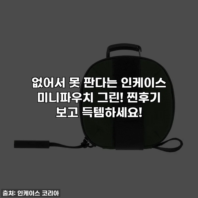 없어서 못 판다는 인케이스 미니파우치 그린! 찐후기 보고 득템하세요!