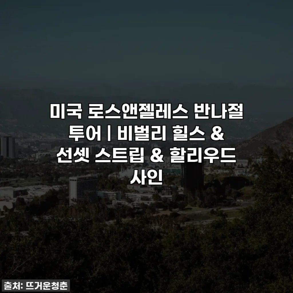 미국 로스앤젤레스 반나절 투어 | 비벌리 힐스 & 선셋 스트립 & 할리우드 사인