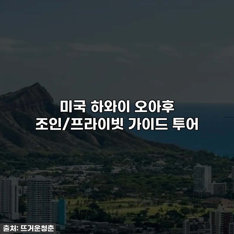 미국 하와이 오아후 조인/프라이빗 가이드 투어