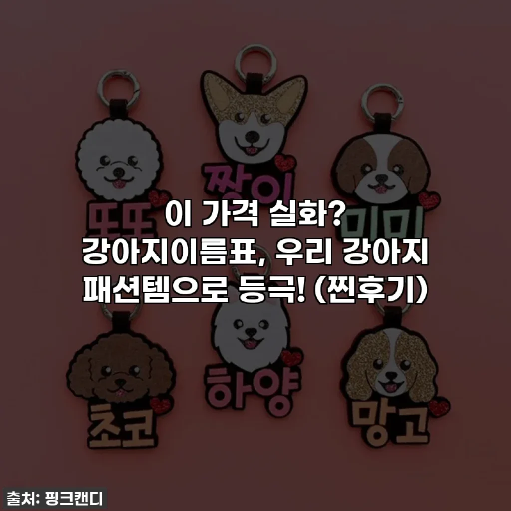 이 가격 실화? 강아지이름표, 우리 강아지 패션템으로 등극! (찐후기)
