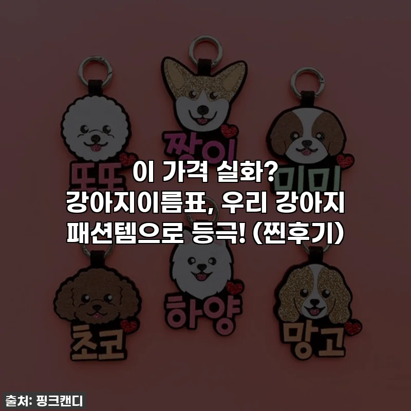 이 가격 실화? 강아지이름표, 우리 강아지 패션템으로 등극! (찐후기)