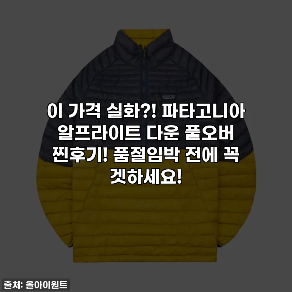 이 가격 실화?! 파타고니아 알프라이트 다운 풀오버 찐후기! 품절임박 전에 꼭 겟하세요!