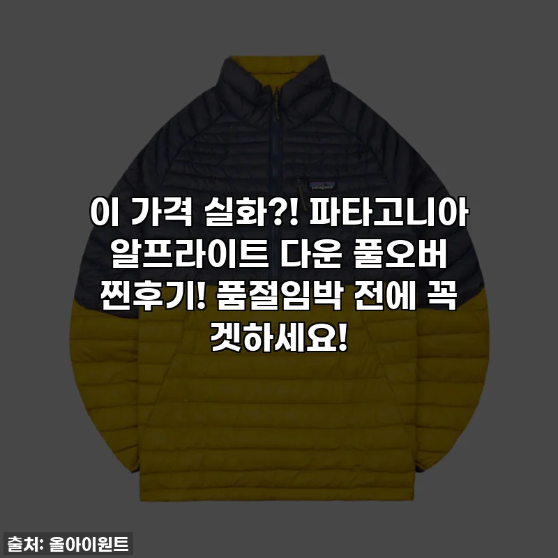 이 가격 실화?! 파타고니아 알프라이트 다운 풀오버 찐후기! 품절임박 전에 꼭 겟하세요!