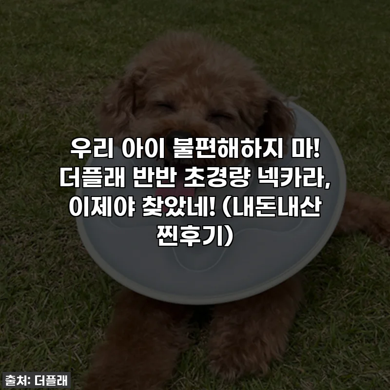 우리 아이 불편해하지 마! 더플래 반반 초경량 넥카라, 이제야 찾았네! (내돈내산 찐후기)