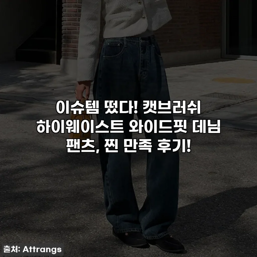 이슈템 떴다! 캣브러쉬 하이웨이스트 와이드핏 데님 팬츠, 찐 만족 후기!