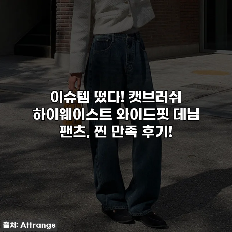 이슈템 떴다! 캣브러쉬 하이웨이스트 와이드핏 데님 팬츠, 찐 만족 후기!