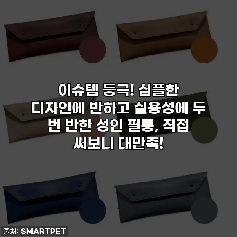 이슈템 등극! 심플한 디자인에 반하고 실용성에 두 번 반한 성인 필통, 직접 써보니 대만족!