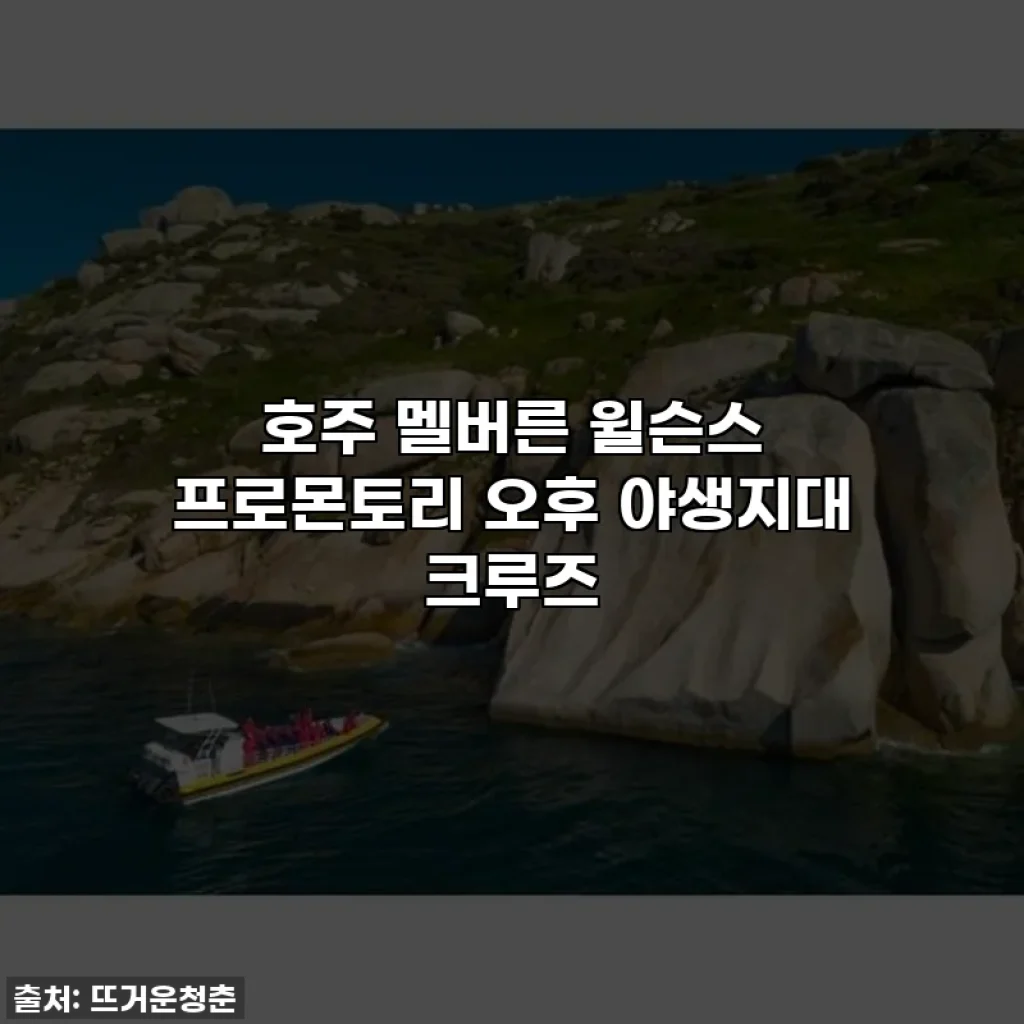 호주 멜버른 윌슨스 프로몬토리 오후 야생지대 크루즈