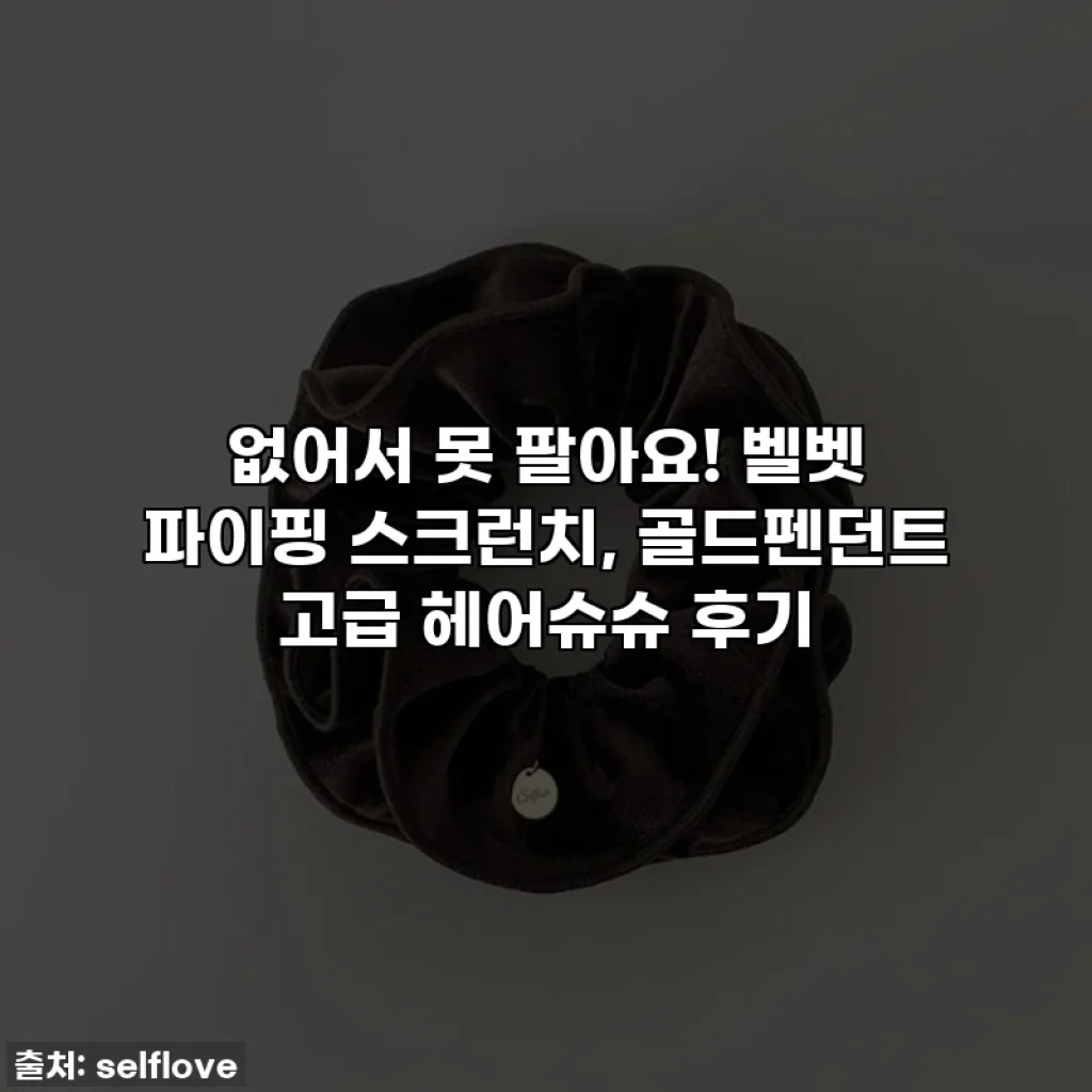 ✨없어서 못 팔아요! 벨벳 파이핑 스크런치, 골드펜던트 고급 헤어슈슈 후기