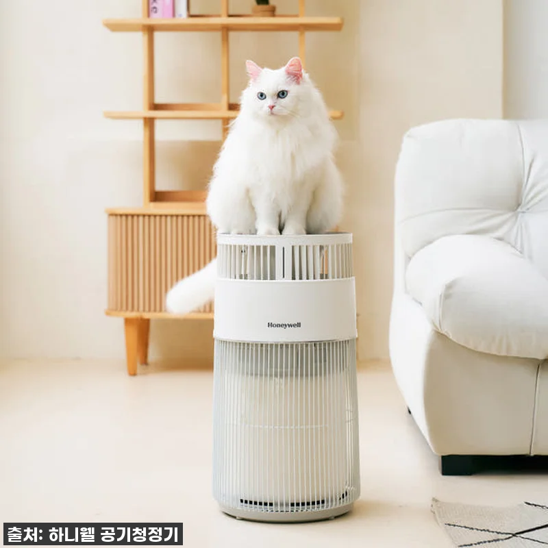 고양이 집사라면 필수템! 하니웰 펫 관련 이미지 3