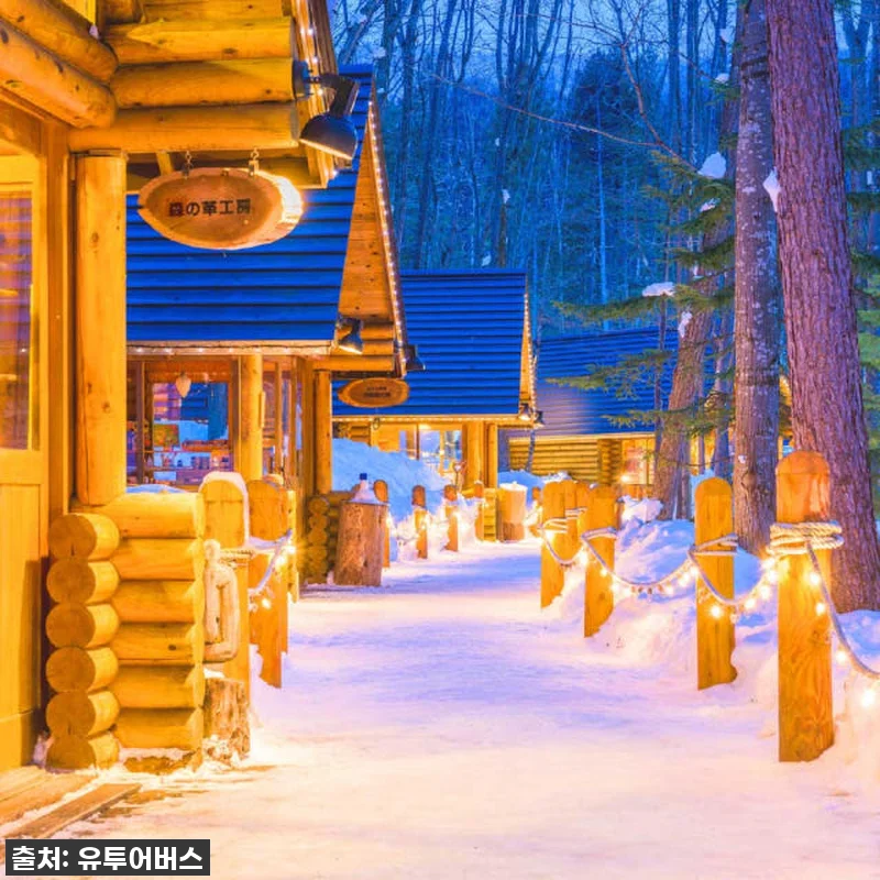 ❄️삿포로 겨울왕국 정복! 유투어버스 관련 이미지 5