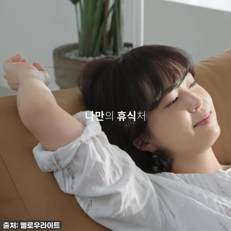 인생 소파 찾았다! PH3 천연면피 관련 이미지 9