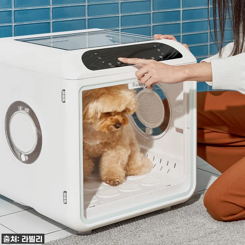 라빌리 펫드라이룸 사용후기: 반려동물 관련 이미지 1