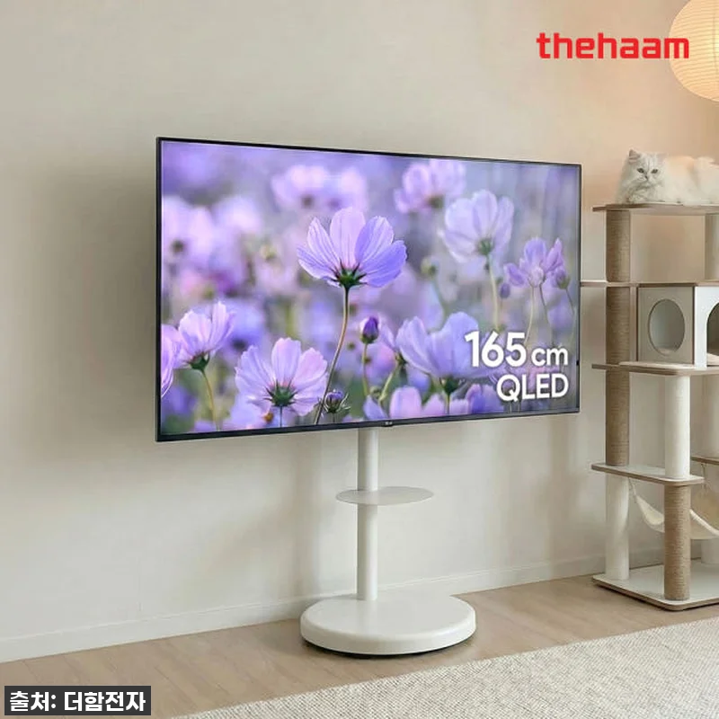 더함 CHiQ 65인치 스마트TV 구글5.0 QLED 사용 후기와 추천