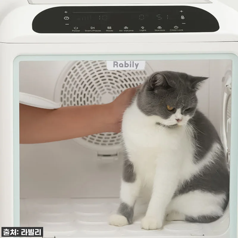 라빌리 펫드라이룸 사용후기: 반려동물 관련 이미지 2