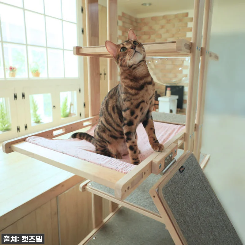 캣츠빌 THE큰타워 뚱냥이 원목 스크 관련 이미지 1