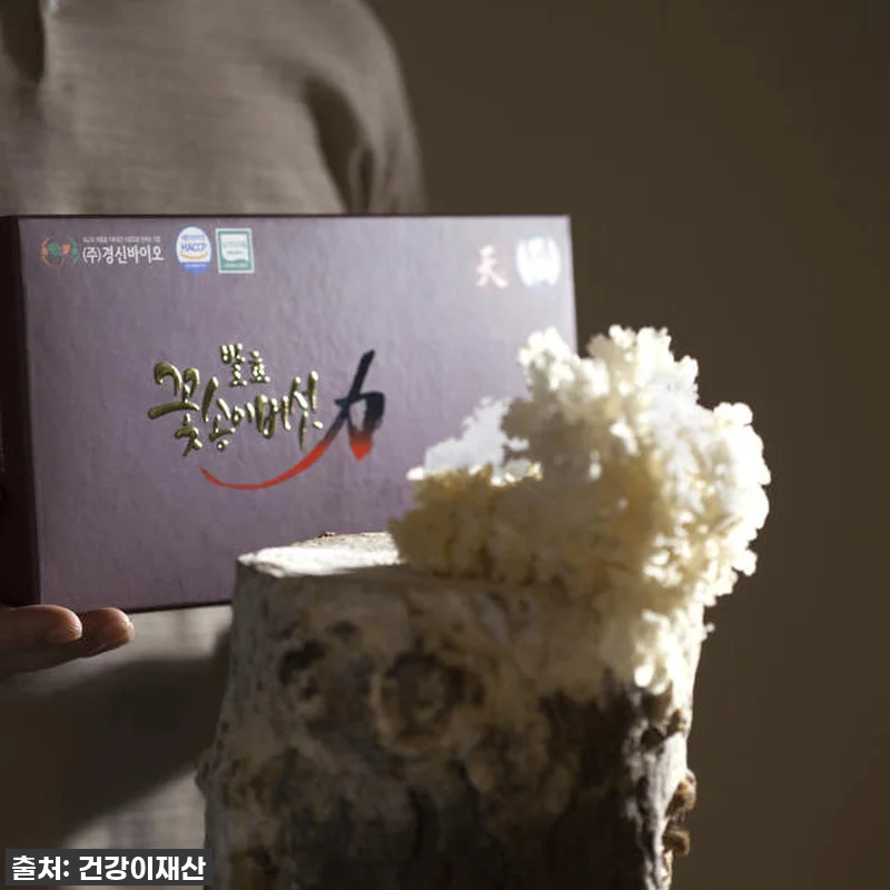 환절기 건강 비결, 경신바이오 꽃송이 관련 이미지 3