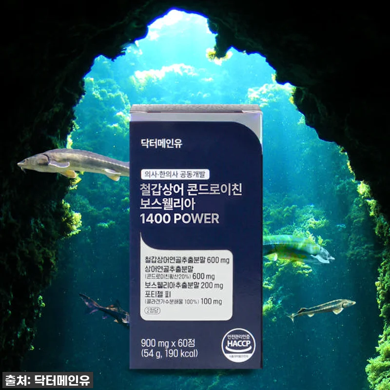 관절 뻐근함 이제 안녕! 철갑상어 콘 관련 이미지 6