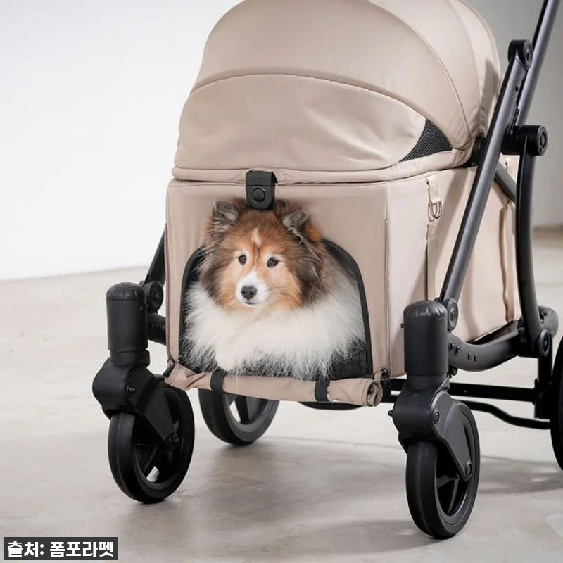 폼포라펫 모두 웨건, 우리 아가에게 관련 이미지 5