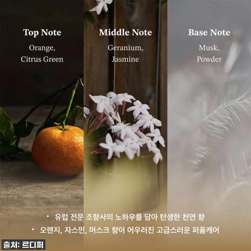 르디퍼 프리미엄 디퍼 헤어 케어 세트 관련 이미지 6