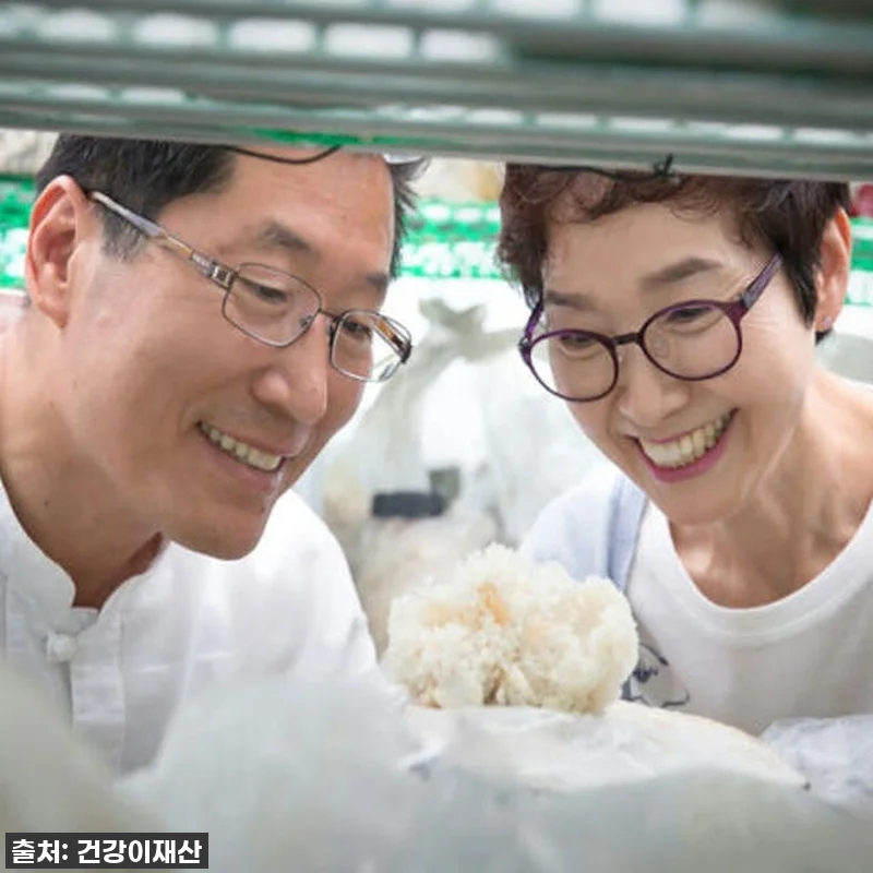 환절기 건강 비결, 경신바이오 꽃송이 관련 이미지 7