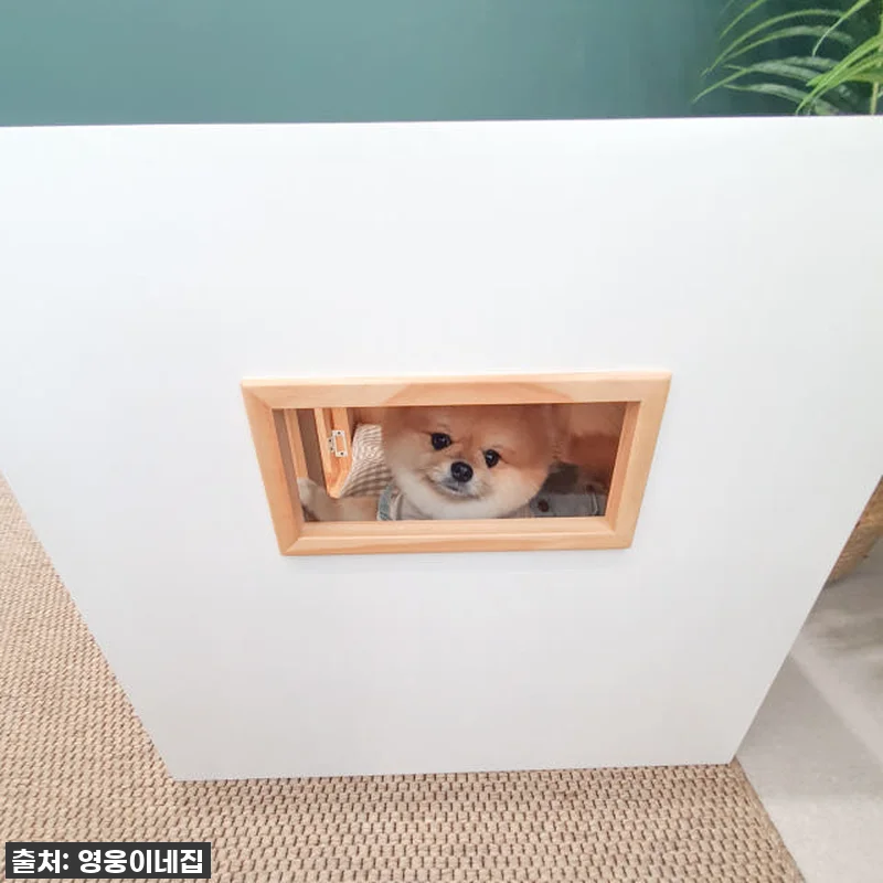 영웅이네 원목 강아지하우스 대리석 쿨 관련 이미지 8