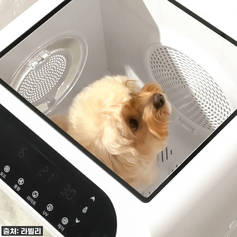 라빌리 펫드라이룸 사용후기: 반려동물 관련 이미지 8