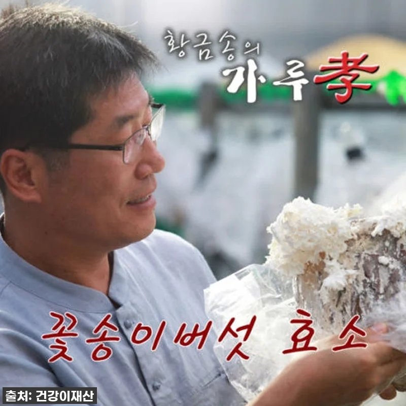 환절기 건강 비결, 경신바이오 꽃송이 관련 이미지 9