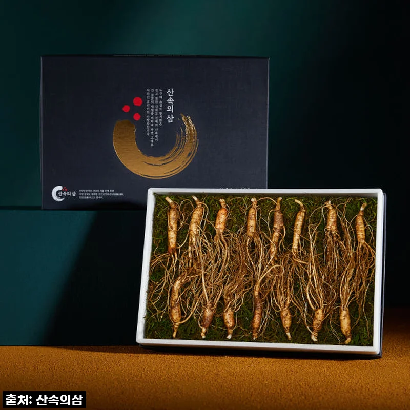 프리미엄 산속의삼 6년근 산양삼 15뿌리, 바쁜 일상 속 제가 찾은 활력 에너지!