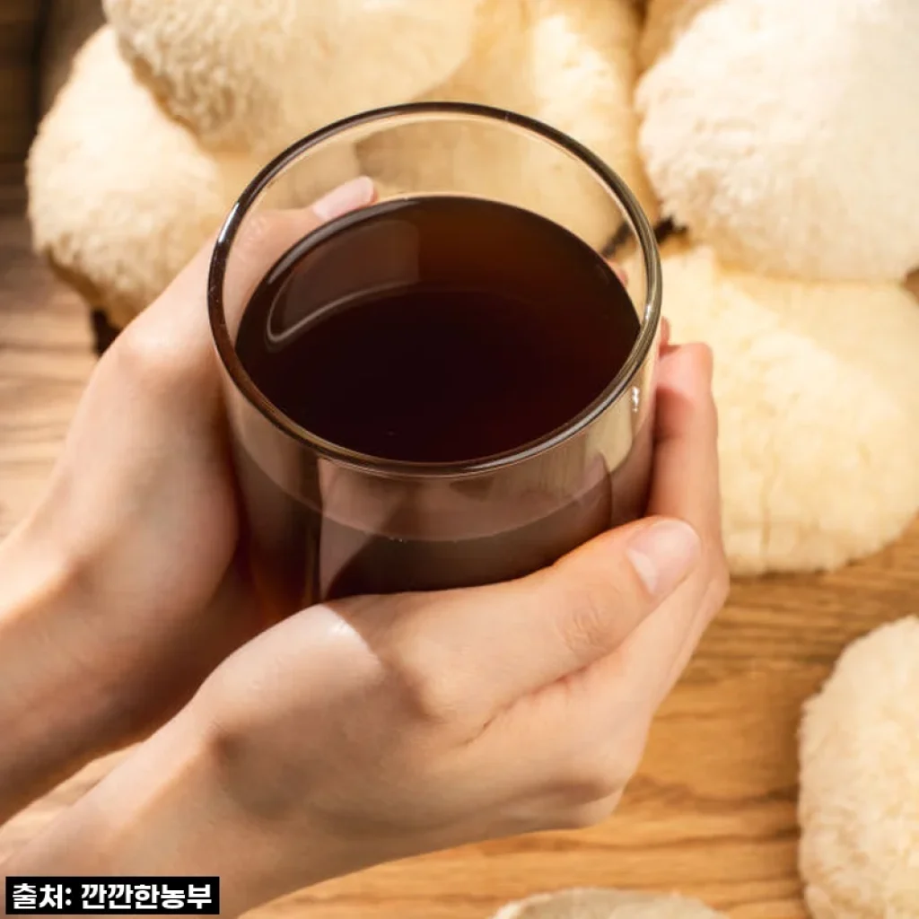 환절기 속 건강 지킴이! 깐깐한농부 노루궁뎅이버섯 액기스, 내 몸이 먼저 알아봤어요!