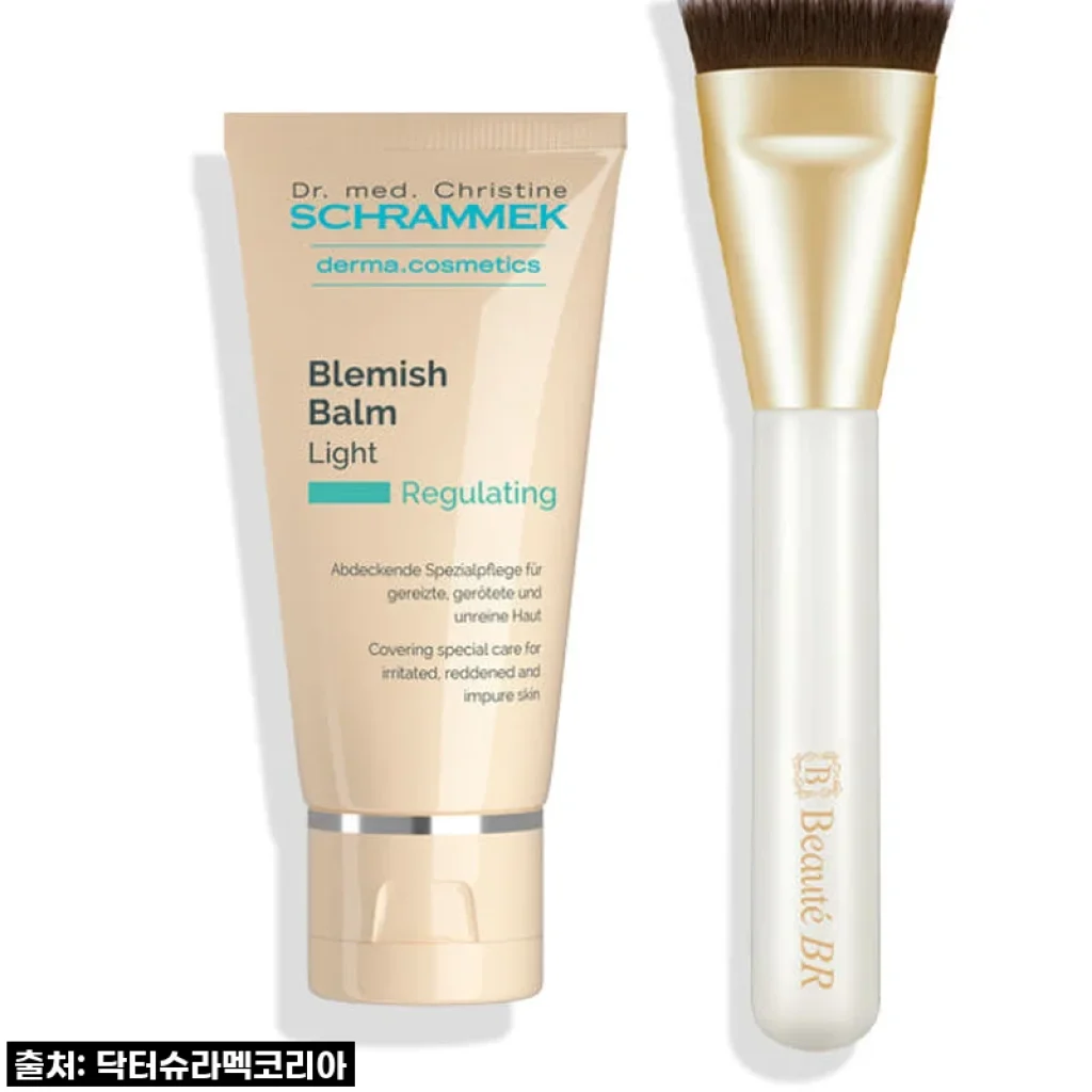 닥터슈라멕 블레미쉬 밤 40ml + 뷰티 브러쉬 세트 사용 후기
