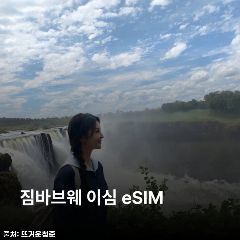 짐바브웨 이심 eSIM Telecel 사용후기: 현지 여행 필수템